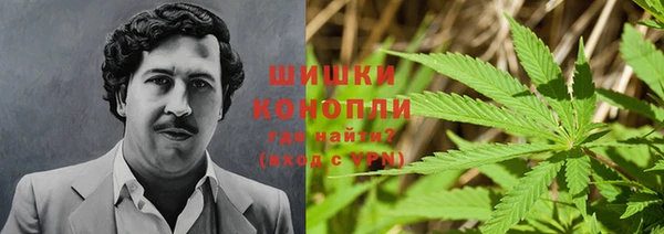 шишки Абинск