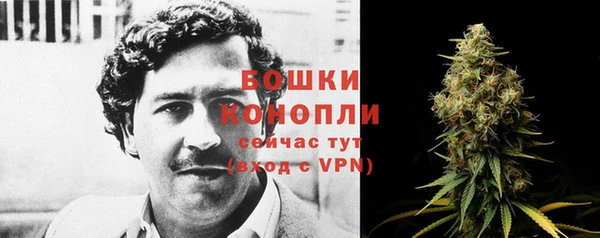гидра Няндома
