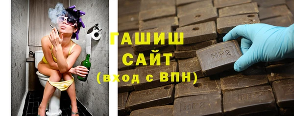гидра Няндома