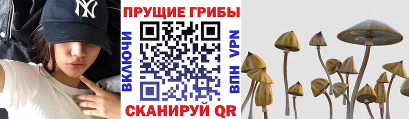 Галлюциногенные грибы MAGIC MUSHROOMS  как найти   гидра сайт  Ува 